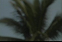 'Eager Beavers 2' screenshot nº 28