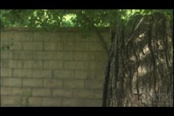Captura de 'Colors' nº 36