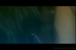 Captura de 'Ass Is Always Greener, The' nº 14