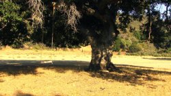 'Sunshine Highway 2' screenshot nº 32