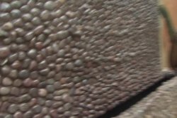 'Fresh Flesh' screenshot nº 58