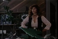 Captura de 'Seka vs. Kay Parker' nº 77