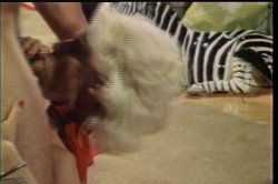 Captura de 'Seka vs. Kay Parker' nº 129