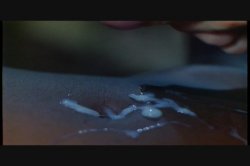 Captura de 'Honeymoon Haven' nº 92