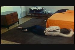 Captura de 'Honeymoon Haven' nº 15