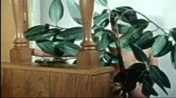 Captura de 'Apartment Girls' nº 105