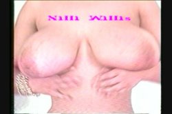 Captura de '90's All Natural & More 90's All Natural' nº 2