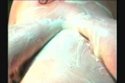 Captura de '90's All Natural & More 90's All Natural' nº 61