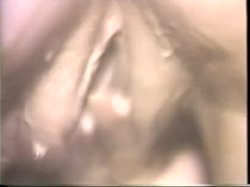 'Seka's Lacy Affair 2' screenshot nº 108