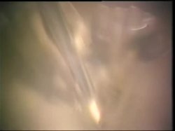 'Seka's Lacy Affair 2' screenshot nº 129