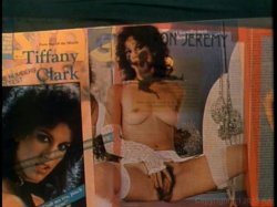 Captura de 'Centerfold Fever' nº 2