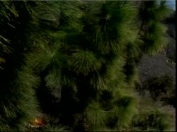 'Caught From Behind 13' screenshot nº 22