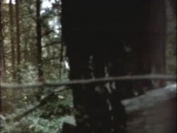 'Blow Hard' screenshot nº 96