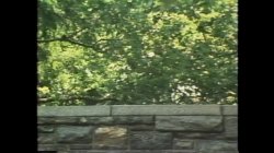 'Mistress Electra' screenshot nº 77