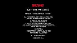 Captura de 'Busty Wife Fantasies 3' nº 1