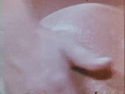 Captura de 'Sinful Stags (029502196073)' nº 27