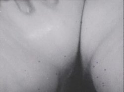 Captura de 'Sinful Stags (029502196073)' nº 36