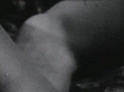 Captura de 'Sinful Stags (029502196073)' nº 46