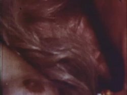 Captura de 'Sinful Stags (029502196073)' nº 52