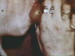 Captura de 'Sinful Stags (029502196073)' nº 67