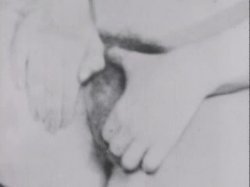 Captura de 'Sinful Stags (029502196073)' nº 82