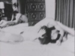 Captura de 'Sinful Stags (029502196073)' nº 85
