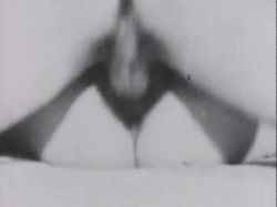 Captura de 'Sinful Stags (029502196073)' nº 89