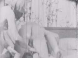 Captura de 'Sinful Stags (029502196073)' nº 110