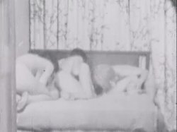 Captura de 'Sinful Stags (029502196073)' nº 111