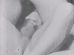 Captura de 'Sinful Stags (029502196073)' nº 116