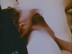 Captura de 'Sinful Stags (029502196073)' nº 138