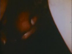 Captura de 'Sinful Stags (029502196073)' nº 139