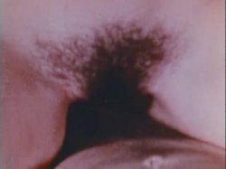 Captura de 'Sinful Stags (029502196073)' nº 18
