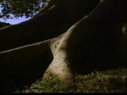 Captura de 'Addio Al Celibato' nº 97