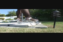 Captura de 'Lexington Loves Phat Black Ass' nº 2
