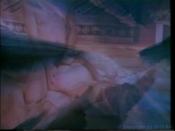'Swedish Erotica Vol. 15' screenshot nº 34