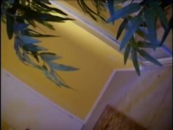 'Babysitter 21' screenshot nº 97