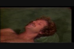 'Swedish Erotica Vol. 8' screenshot nº 65