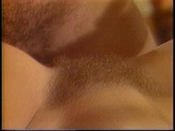 Captura de 'Ginger Lynn's Porn Players' nº 104