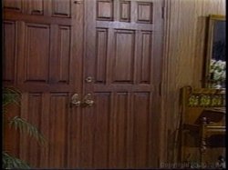 Captura de 'Ginger Lynn's Porn Players' nº 24