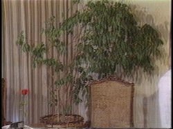 Captura de 'Ginger Lynn's Porn Players' nº 33