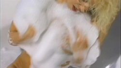 Captura de '5 Dirty Blondes 2' nº 30