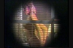 Captura de 'Cock Teasing Exhibitionist' nº 94