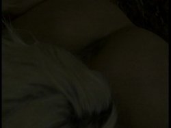 'Sluthunt 5' screenshot nº 6