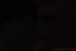 Captura de 'Load Sharing' nº 22