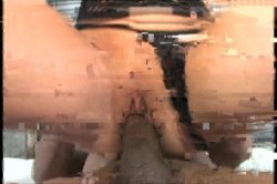 'Gangbang Her Little White Thang!' screenshot nº 33