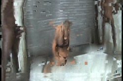 'Gangbang Her Little White Thang!' screenshot nº 41