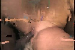 'Gangbang Her Little White Thang!' screenshot nº 65