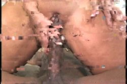 'Gangbang Her Little White Thang!' screenshot nº 74