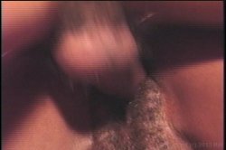 'Girlz in da Hood 6' screenshot nº 37